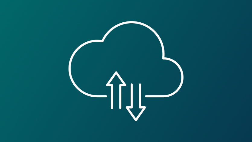 Backup Icon